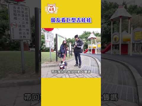 巨型吉娃娃登場！可愛加成無吉限?【 #主子好萌 】週三晚上9點準時鎖定YT  #萌寵明星粗乃玩 thumbnail