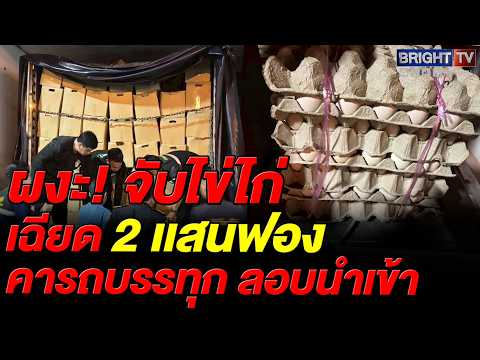 สกัดจับคาริมทาง! ยึดไข่ไก่เถื่อน 1.8 แสนฟอง ขนจากหาดใหญ่ไร้ใบอนุญาต thumbnail