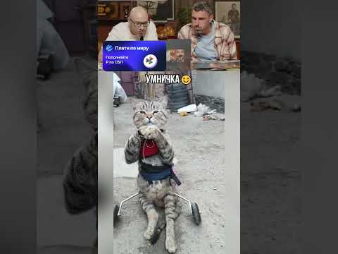 Умничка☺️ thumbnail