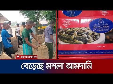 ঈদকে সামনে রেখে আমদানি বেড়েছে মসলা সামগ্রীর; কিছুটা কমেছে দাম | HIli Mosla | Korbani Eid | Jamuna TV thumbnail