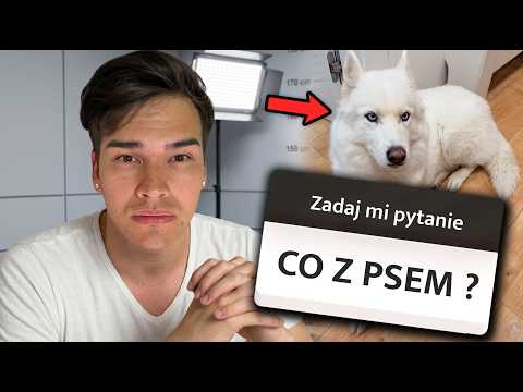 CO SIĘ STAŁO Z MOIM PSEM? thumbnail