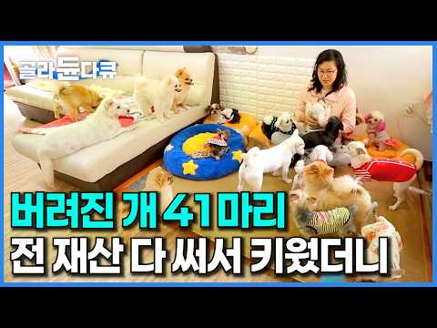 월급 받는 대로 다 나간다｜암에 걸린 아내가 유기견 하나씩 데려와 키우더니｜어느새 41마리 개 엄마가 된 아내｜시대공감 그곳｜#골라듄다큐 thumbnail