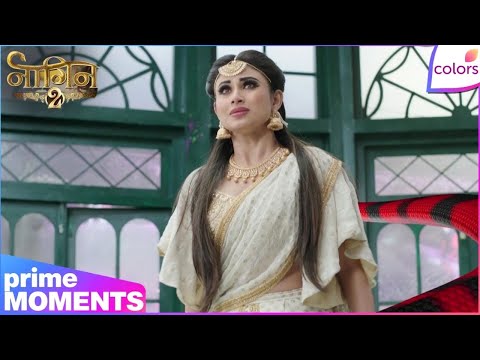 Naagin S2 | Highlights Ep. 65 | Shivangi Risks Everything to Tell Rocky the Truth | Colors TV thumbnail