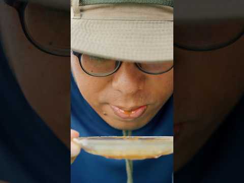 Kenapa Satun, Thailand Terasa Macam Kampung Melayu? thumbnail