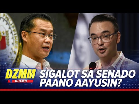 Boto kay Gatchalian bilang SP Pro Tempore may bisa, pero Cayetano SP pa rin—Azcuna thumbnail
