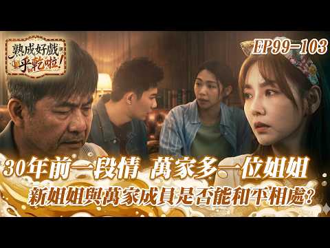 《熟成好戲》豆腐媽媽 EP99-103｜30年前一段情 讓萬家多一位姐姐 新姐姐與萬家成員是否能和平相處? thumbnail