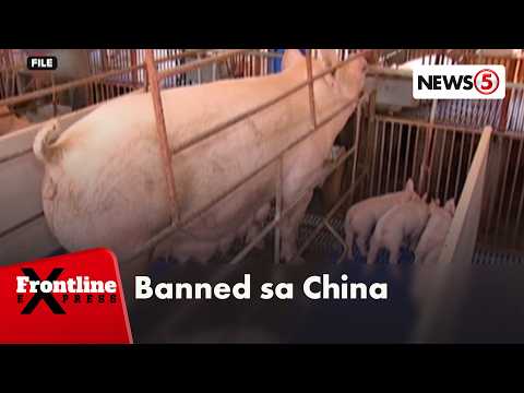 Pag-aangkat ng baboy galing sa Pilipinas, ipinagbawal ng China dahil sa swine fever thumbnail