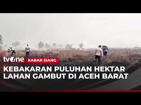 Belasan Hektar Lahan Gambut di Aceh Barat Hangus Terbakar | Kabar Siang thumbnail