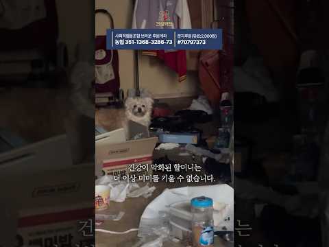 할머니가 살던 쓰레기 집에서 구조된 강아지 thumbnail