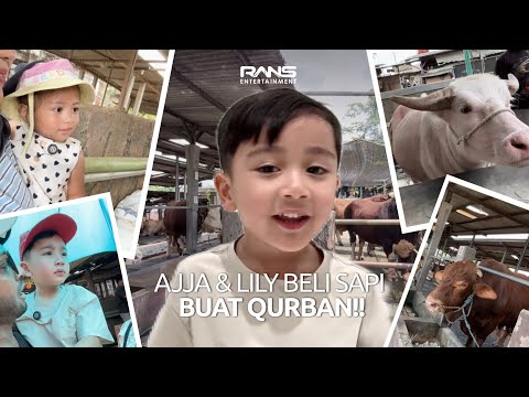 PERSIAPAN IDUL ADHA!! AJJA LILY PILIH SAPI & KERBAU WARNA PINK!!! thumbnail