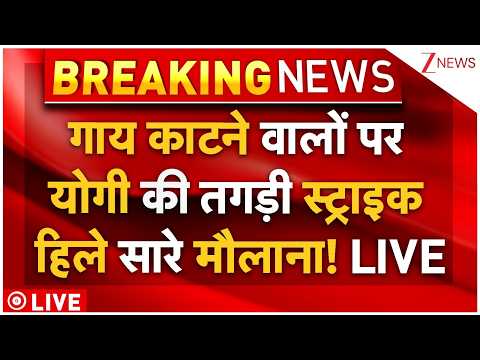 Yogi Action On Muslims Maulana LIVE: गाय काटने वालों पर योगी की तगड़ी स्ट्राइक हिले सारे मौलाना! LIVE thumbnail