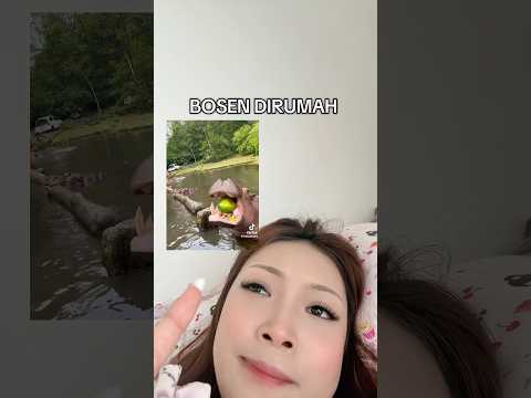 DICIUM SINGA LAUT 😱 #safari #vlog #singalaut thumbnail