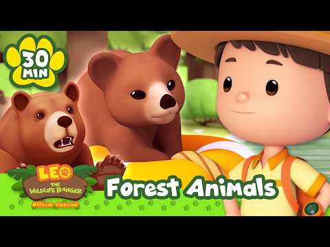 🌳 Animals in the North American Forest! 🌲 | Leo the Wildlife Ranger | Learning Animal Cartoons thumbnail