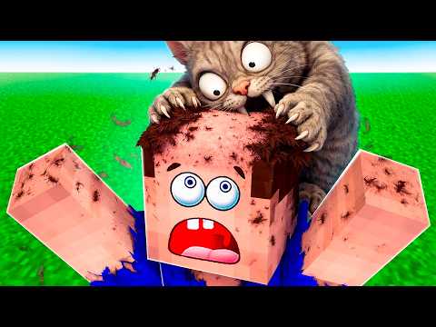 НАМ ПОДАРИЛИ БЕШЕНОГО КОТА В МАЙНКРАФТ!😱 thumbnail