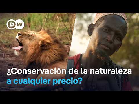 “Colonialismo verde”: indígenas desplazados por la conservación de la naturaleza | DW Documental thumbnail