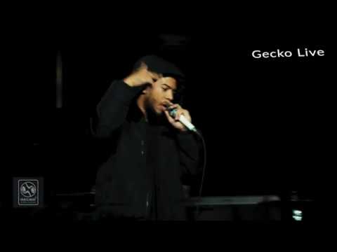 ELHAE Shines at Mod Club Theatre with GECKO® thumbnail