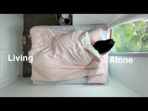 Living Alone • productive days, grocery run, shopee & lazada haul thumbnail