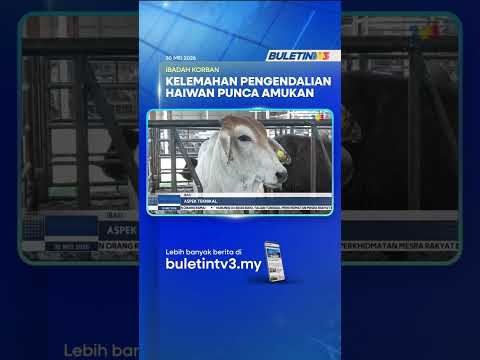 IBADAH KORBAN | Aspek Teknikal, Persekitaran Punca Haiwan Bertindak Agresif thumbnail