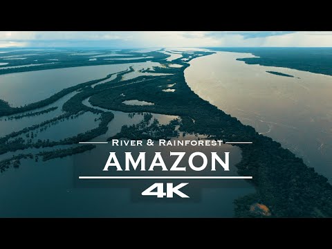 4K Amazon River Drone Footage – Relaxing Rainforest Aerial View | Peaceful Nature Ambience thumbnail