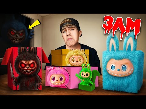ÖFFNE NIEMALS ALLE LABUBU MYSTERY BOXEN um 3 UHR!! thumbnail
