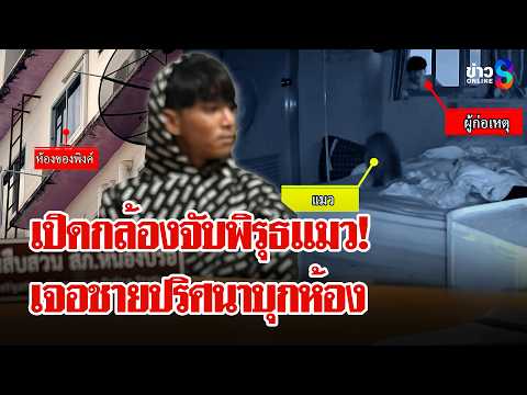 สาวผวา! เจอแมวตัวสั่นเปิดกล้องช็อกเจอชายปริศนาปีนห้องชั้น 4 | ลุยชนข่าว | 2 มิ.ย. 69 thumbnail