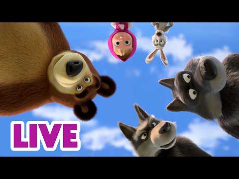 🔴 LIVE STREAM 🎬 Masha and the Bear 🤠🐘 Backyard Safari 🦒🏡 thumbnail