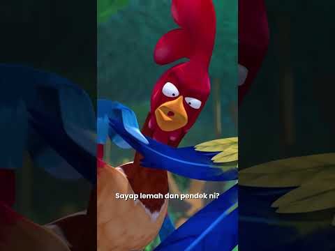 🐔 Kadang mulut boleh bawa padah 😅Ayam ni dah lah berlagak, cakap pun tak berlapik 🤣 thumbnail