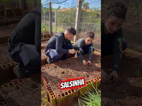 Dia de plantar na horta ☺️😍 thumbnail