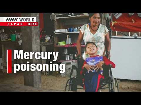New Minamata disease in Amazon?ーNHK WORLD-JAPAN NEWS thumbnail