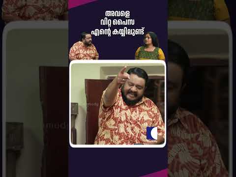 അവളെ വിറ്റ പൈസ എന്റെ കയ്യിലുണ്ട് #aliyans #comedyserial #sitcom thumbnail