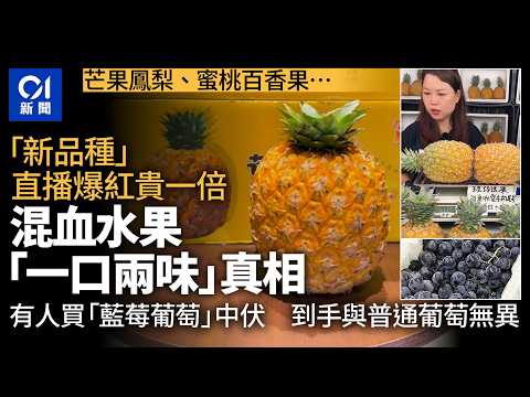 【01秒看新聞】芒果鳳梨、藍莓葡萄、蜜桃百香果　｢混血水果｣貴一倍　央視揭真相｜01新聞｜網紅水果｜混血水果｜虛假宣傳｜營銷噱頭｜台農23號 thumbnail