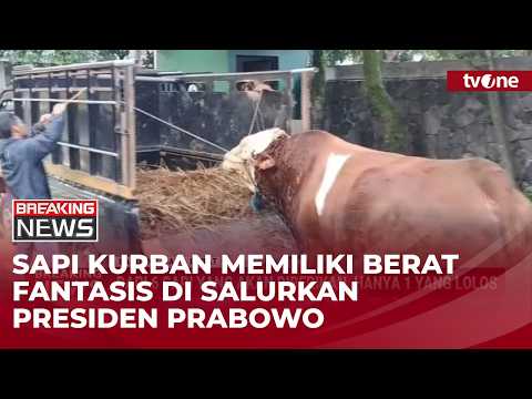 Masjid Agung Al Ukhuwwah Terima Sapi Kurban dari Presiden Prabowo | Breaking News thumbnail