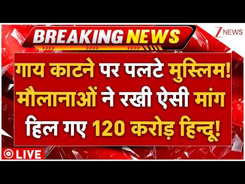 Muslims U Turn On Cow Slaughtering LIVE: गाय काटने पर मौलानाओं की मांग से हिल गए 120 करोड़ हिन्दू! thumbnail