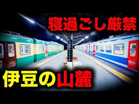【野宿確定】寝過ごすと伊豆の山麓に放置されてしまう恐怖の終電を乗り通してみた｜終電で終点に行ってみた#148 thumbnail