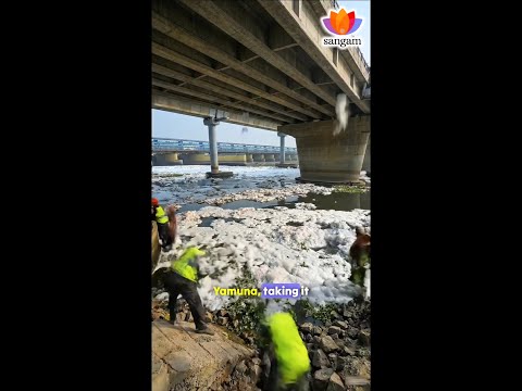 Managing Delhi’s Drains for River Health | Prof. A.K. Gosain | #SangamTalks thumbnail