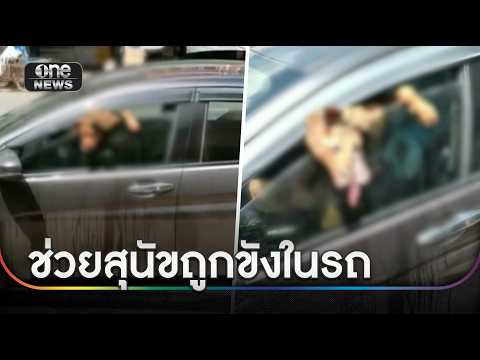 เจ้าของขอโทษ ทิ้งสุนัขตากแดดจนหวิดดับ | ข่าวช่องวันเสาร์-อาทิตย์ | สำนักข่าววันนิวส์ thumbnail
