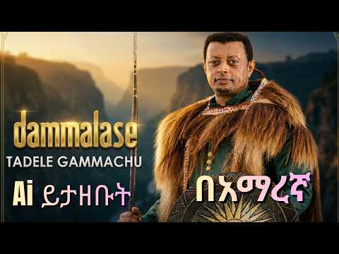  Dammaalasee: By Taddalaa Gammachuu-Ai cover በአማረኝ - ያደማሌስ  thumbnail