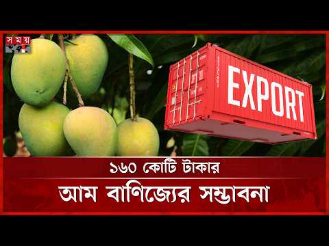 দেশ ছাড়িয়ে বিদেশেও যাচ্ছে মেহেরপুরের আম!। Meherpur | Mango Season | Somoy TV thumbnail
