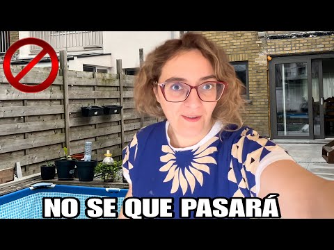 FÁTIMA ME LO RECLAMA/TOCA INVERTIR/PROXIMA CELEBRACIÓN/MI ÚNICA DEUDA/GAMBAS A 2€/EN BUSCA DE ROPA  thumbnail