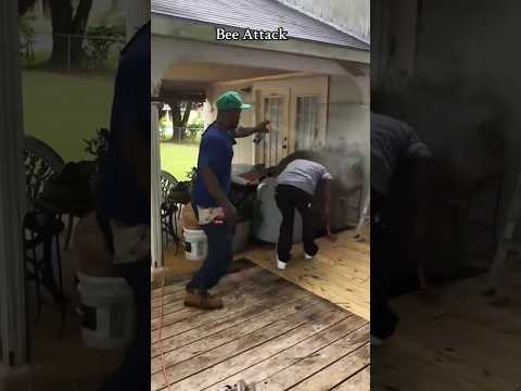 wasp nest removal#SummerLooks#BehindTheSong#dontleaveme#USA thumbnail
