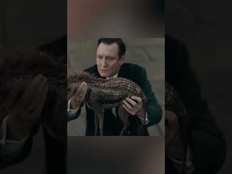 🧙‍♂️✨ الكيلين كشف الحقيقة وأنقذ المملكة! thumbnail