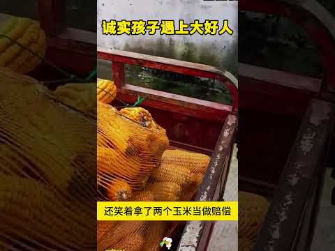 男子汽车被撞，竟要了两根玉米做赔偿，结局超暖心。 thumbnail