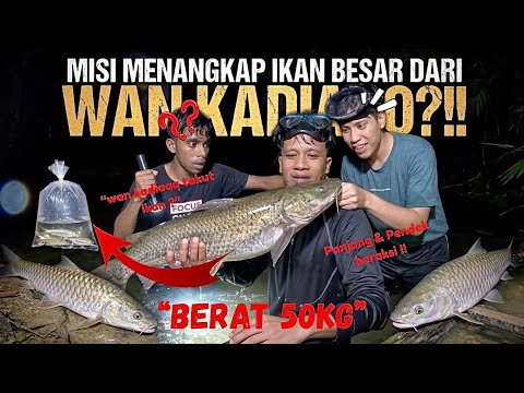 TETAMU JEMPUTAN!!, WANKADIAQ TAKUT IKAN SUNGAI?!, PANJANG&PENDEK BERAKSI TANGKAP IKAN 50KG⁉️ thumbnail