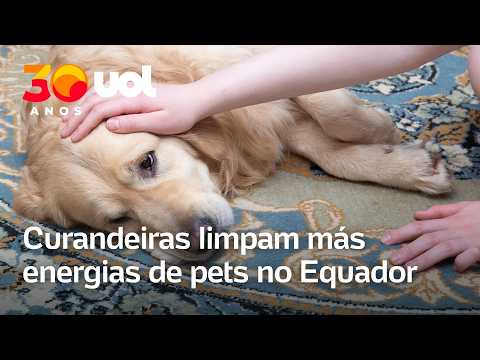Curandeiras realizam limpeza espiritual em pets para afastar más energias no Equador thumbnail