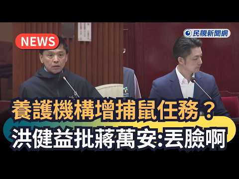 發燒新聞／養護機構增捕鼠任務？洪健益批蔣萬安：丟臉啊｜民視新聞｜ thumbnail