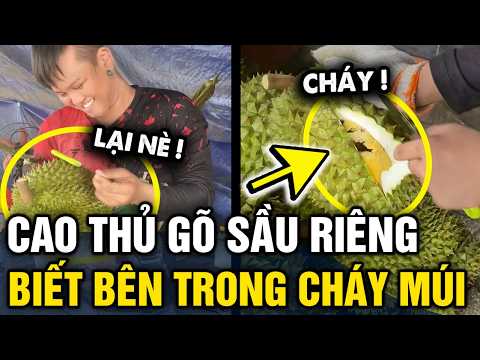 Đỉnh cao thanh niên CHỈ GÕ BÊN NGOÀI là biết được trái sầu riêng nào BỊ CHÁY MÚI | Tin 3 Phút thumbnail
