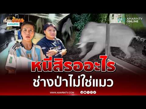 ช้างป่าบุก ชาวบ้านหนีตายสุนัขกระเจิง | เรื่องร้อนอมรินทร์​ thumbnail