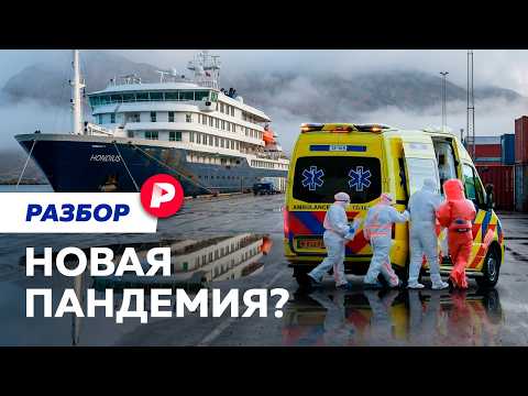 Может ли хантавирус добраться до России? thumbnail