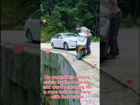 A driver's kind heart...and a rope that saved a life. #short,#kindness,#help,#love thumbnail