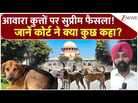 Stray Dogs Case Verdict: आवारा कुत्तों पर सुप्रीम फैसला! जानें कोर्ट ने क्या कुछ कहा?| Supreme Court thumbnail